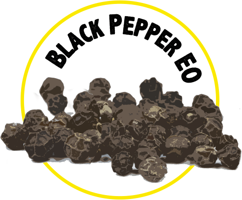 Black Pepper EO